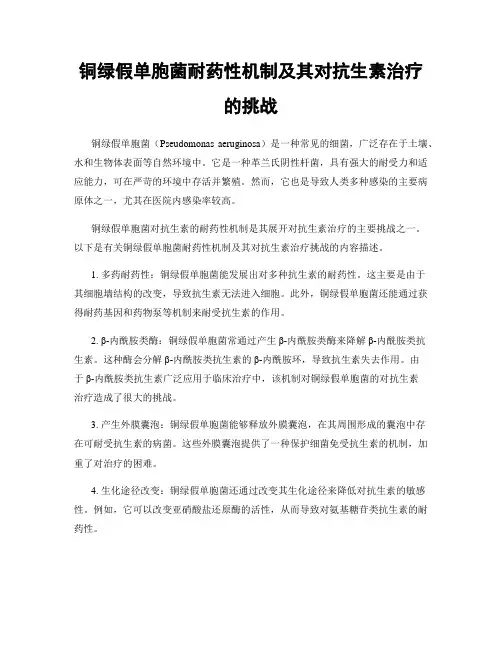 铜绿假单胞菌耐药性机制及其对抗生素治疗的挑战