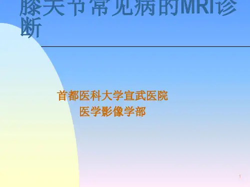 膝关节常见病的MRI诊断参考PPT