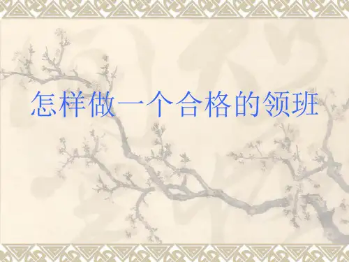 怎样做一个合格的班组长-PPT课件