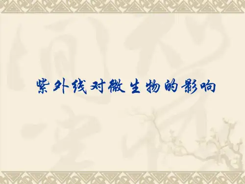紫外线对微生物的影响 PPT课件