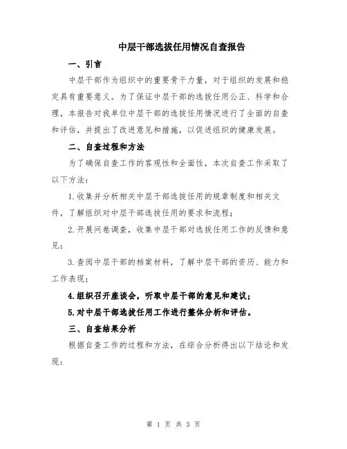 中层干部选拔任用情况自查报告