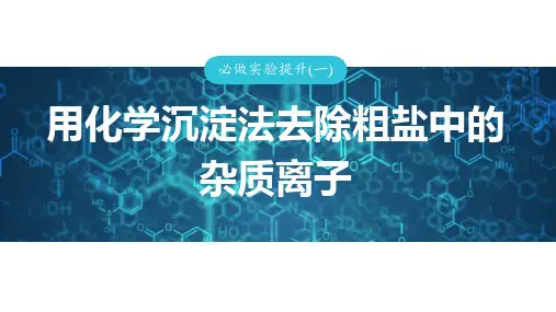 高中化学一轮复习 必做实验提升(一) 用化学沉淀法去除粗盐中的杂质离子