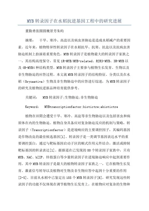 MYB转录因子在水稻抗逆基因工程中的研究进展