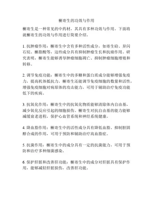 槲寄生的功效与作用