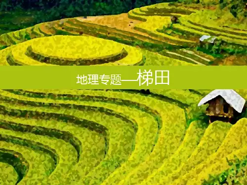 高中地理高考微专题009梯田