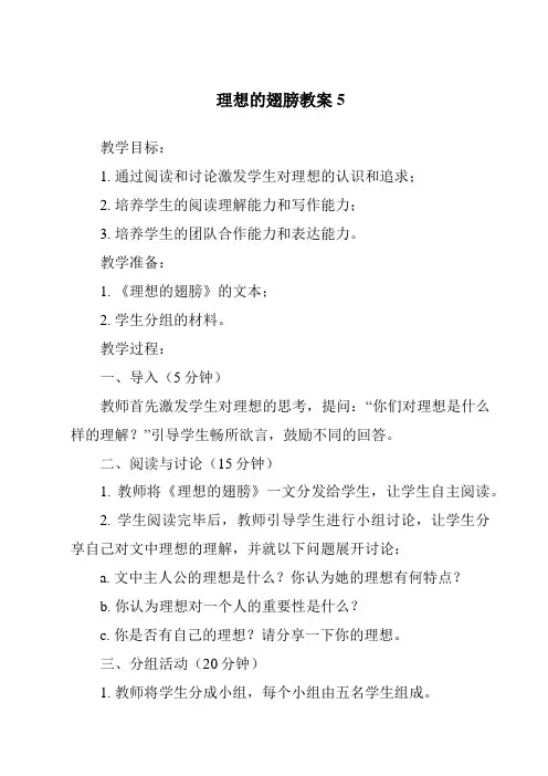 理想的翅膀教案5