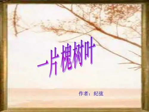 《一片槐树叶》课件1