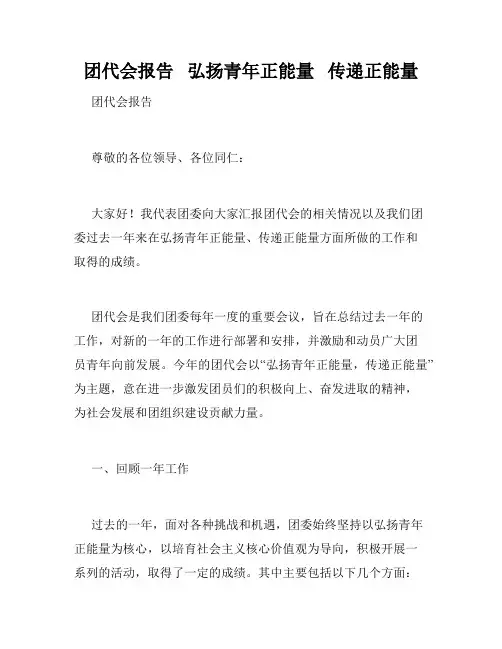 团代会报告   弘扬青年正能量   传递正能量   