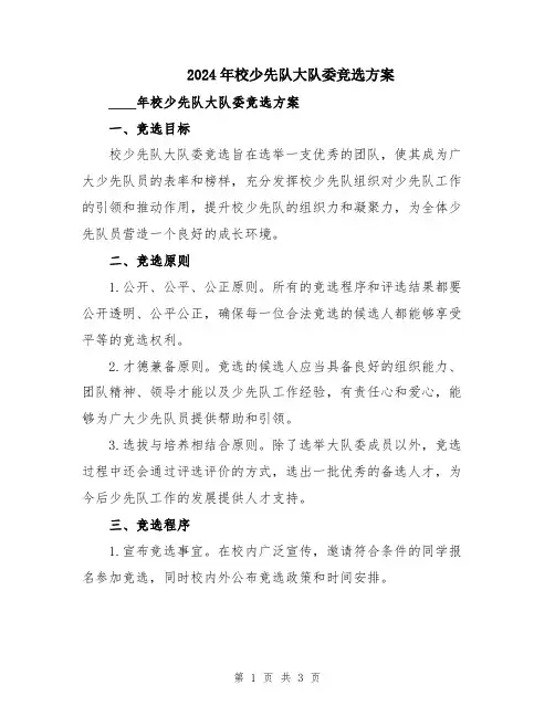 2024年校少先队大队委竞选方案