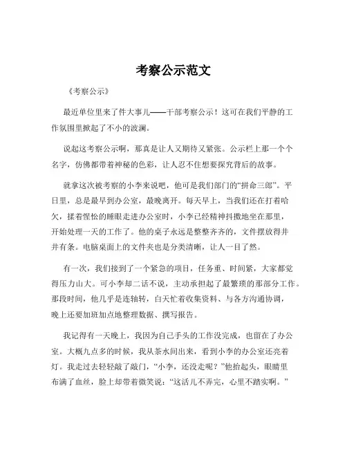 考察公示范文