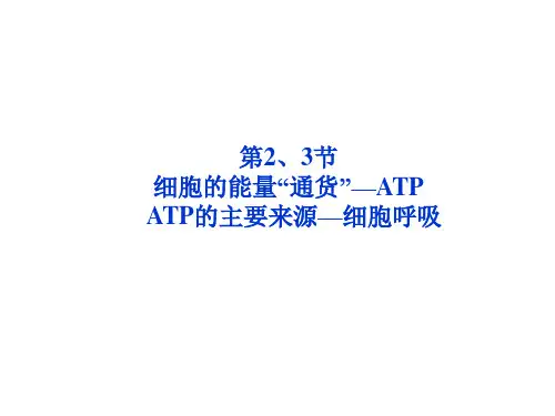 高中生物必修1《细胞的能量“通货”-ATP》课件