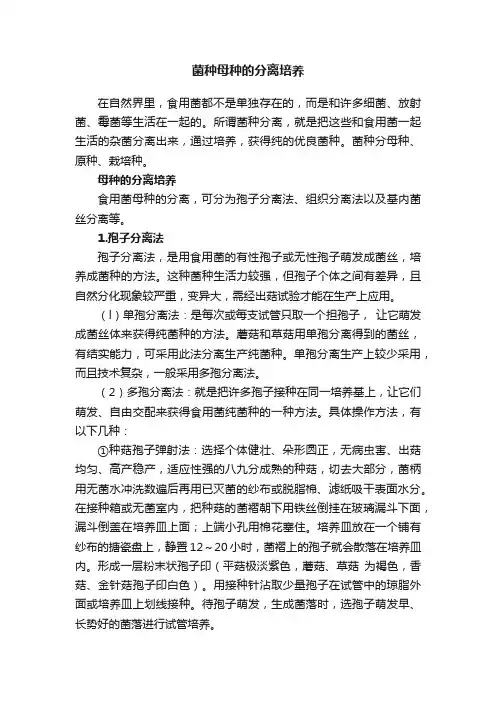 菌种母种的分离培养