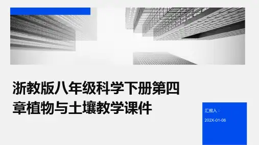 浙教版八年级科学下册第四章植物与土壤教学课件