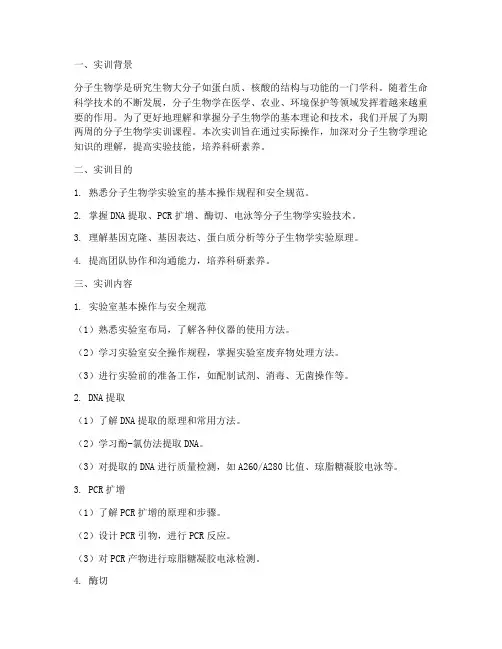 分子生物学实训报告