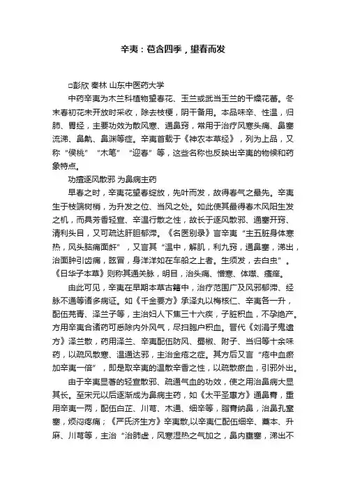 辛夷：苞含四季，望春而发