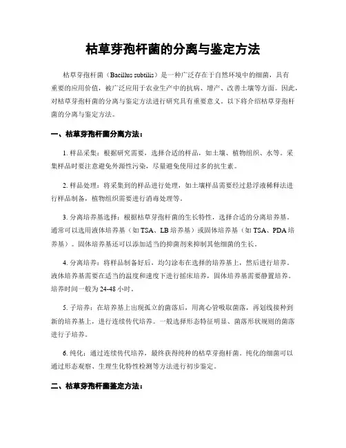 枯草芽孢杆菌的分离与鉴定方法