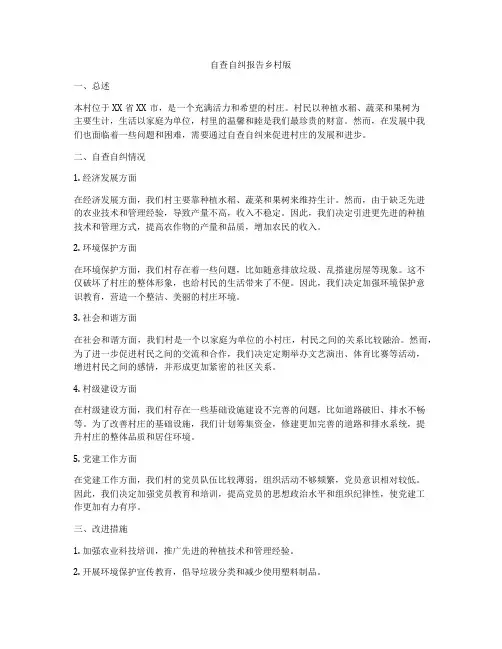 自查自纠报告乡村版