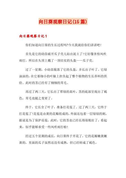 向日葵观察日记(15篇)