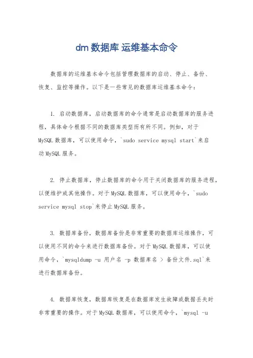 dm数据库 运维基本命令