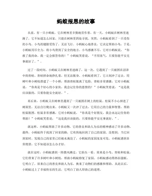 蚂蚁报恩的故事