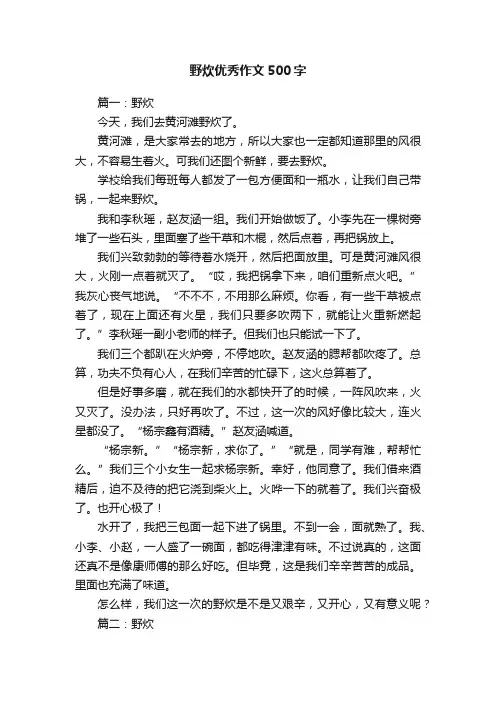 野炊优秀作文500字