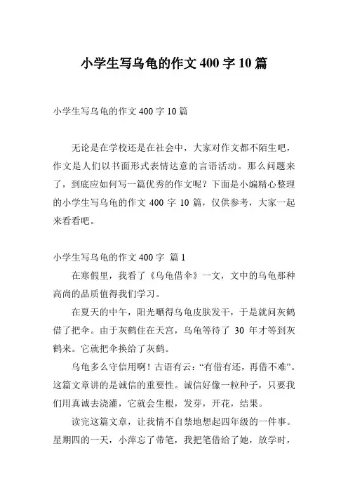 小学生写乌龟的作文400字10篇