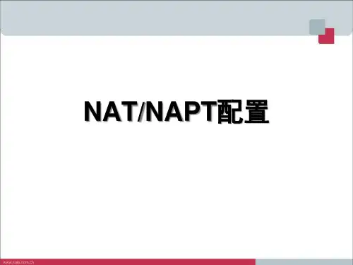 NAT和NAPT配置