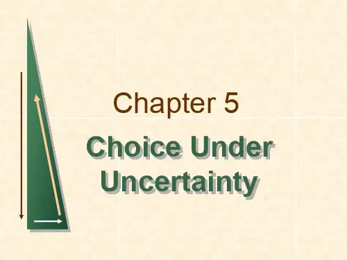 ChoiceUnderUncertainty(微观经济学-华侨大学,Jef