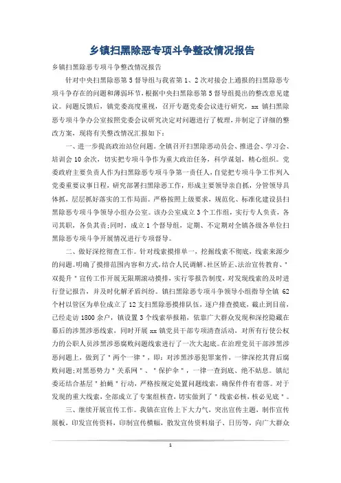 乡镇扫黑除恶专项斗争整改情况报告