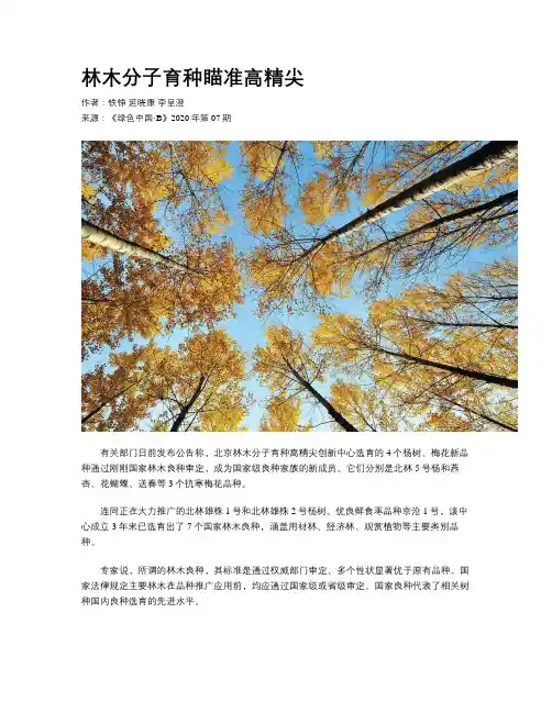 林木分子育种瞄准高精尖