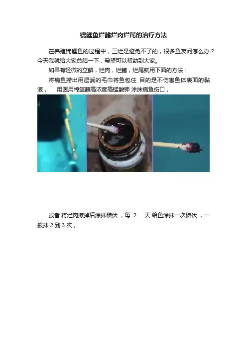锦鲤鱼烂鳍烂肉烂尾的治疗方法