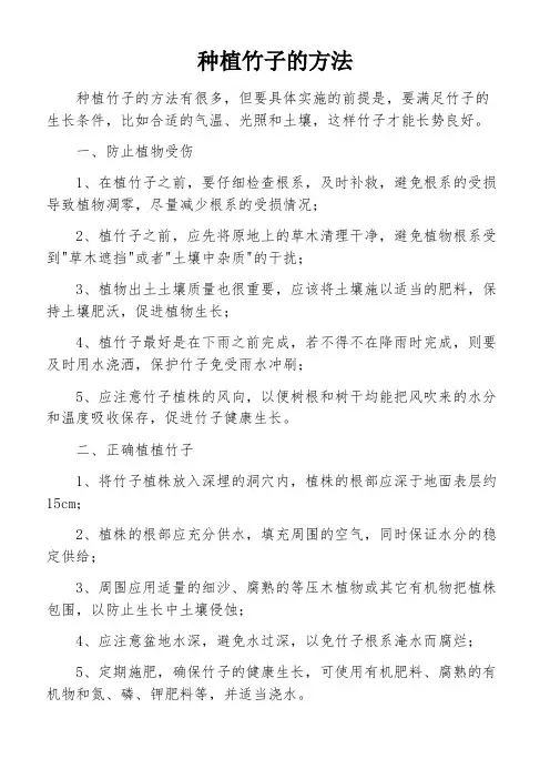 种植竹子的方法