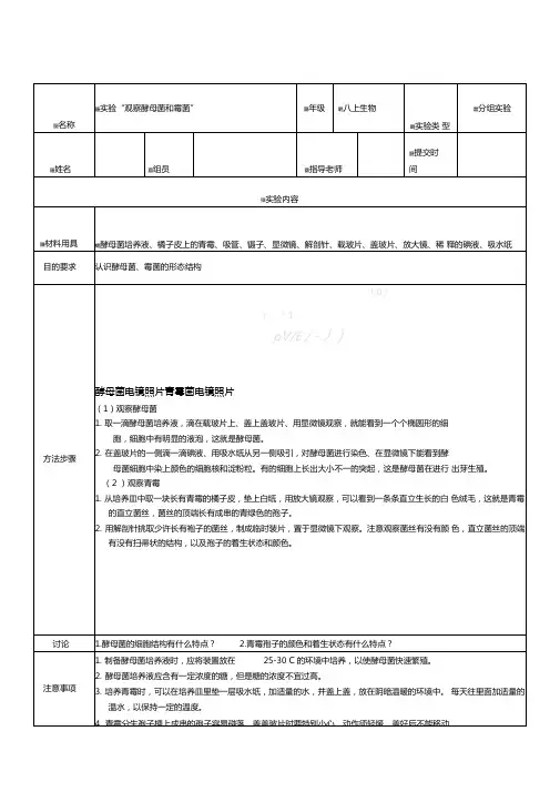观察酵母菌和霉菌试验报告单