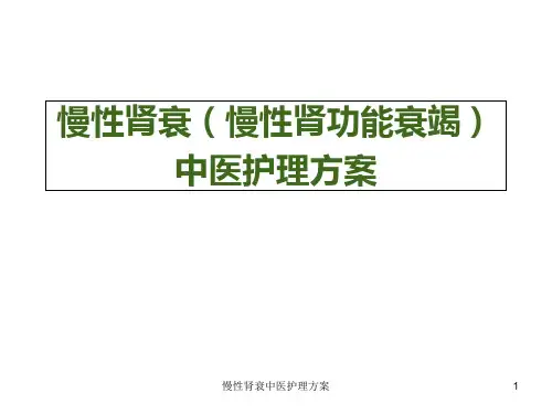 慢性肾衰中医护理方案 ppt课件
