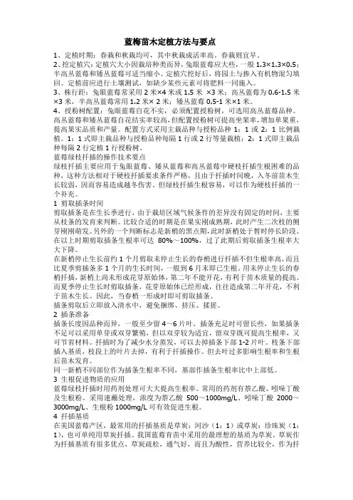 蓝梅苗木定植方法与要点