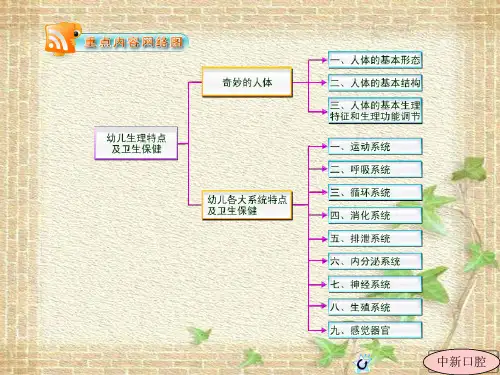 幼儿运动系统生理特点及卫生保健 -