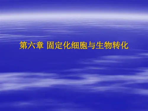 固定化细胞