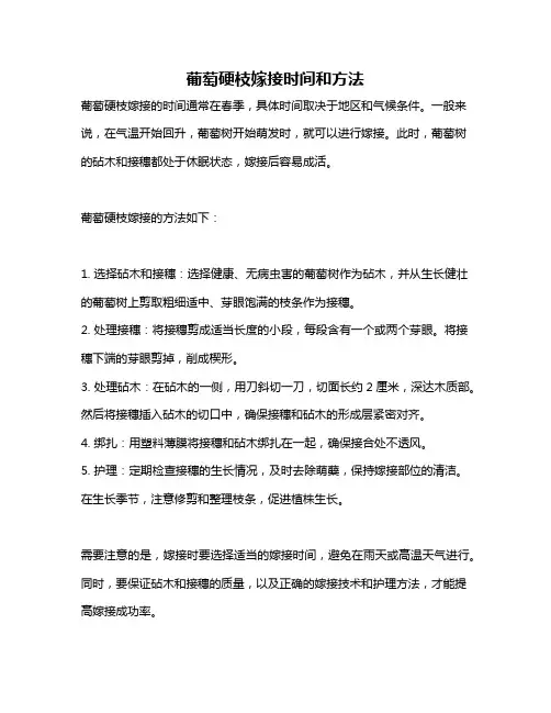 葡萄硬枝嫁接时间和方法