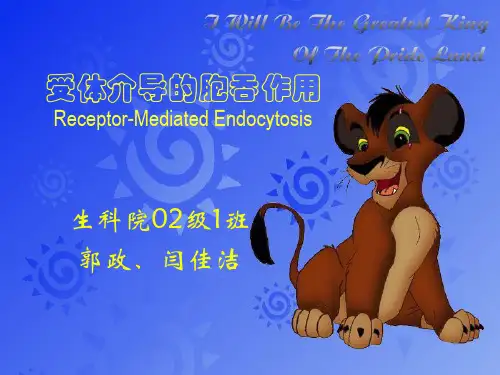 受体介导的胞吞作用