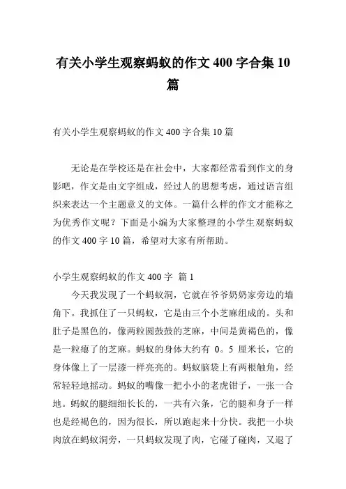 有关小学生观察蚂蚁的作文400字合集10篇