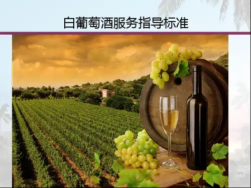 酒店常见酒水服务指导标准