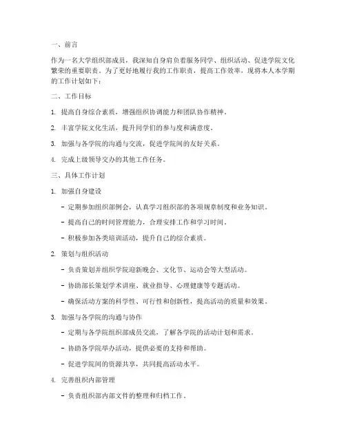 大学组织部个人工作计划书