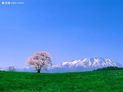 语文S版六年级上册教学《语文百花园六》精品PPT课件