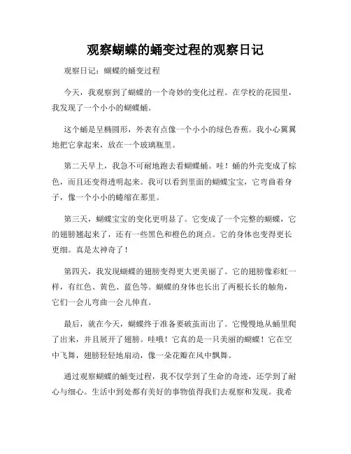 小学三年级作文观察蝴蝶的蛹变过程的观察日记