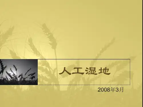 人工湿地课件