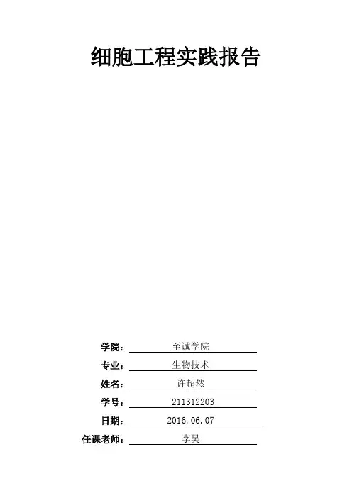 细胞工程实践报告