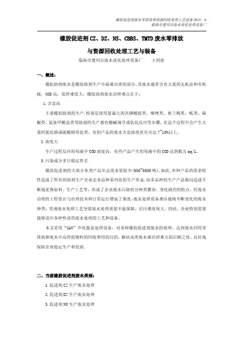 橡胶促进剂CZ、DZ、NS、CBBS、TMTD废水零排放与资源回收处理工艺与装备