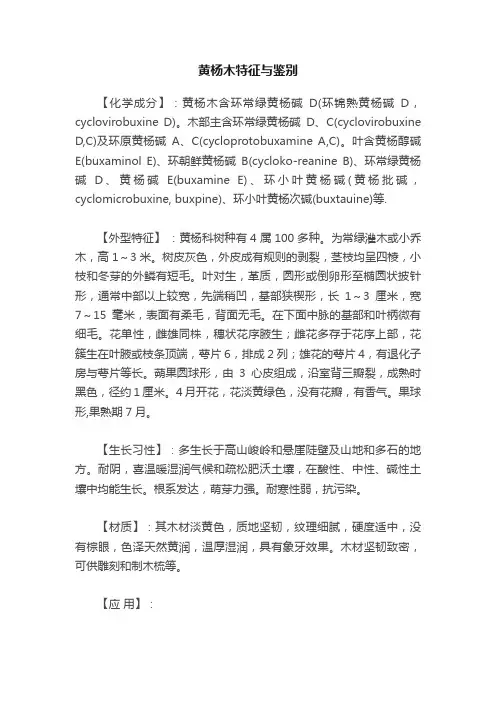 黄杨木特征与鉴别