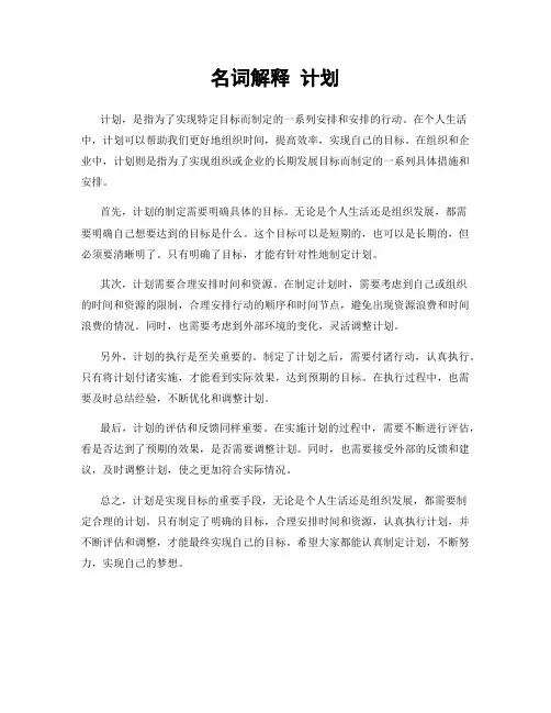 名词解释 计划