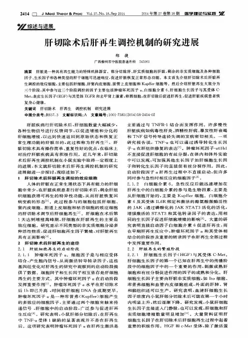 肝切除术后肝再生调控机制的研究进展